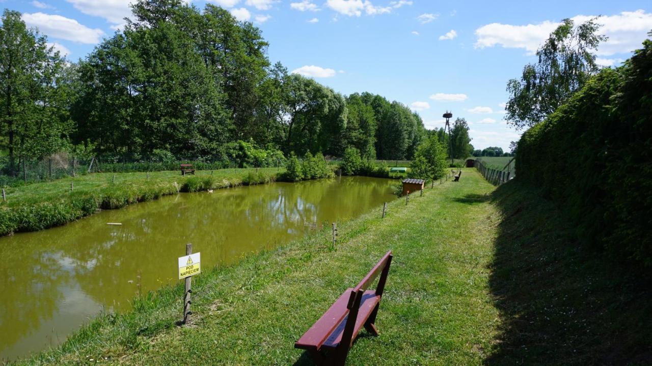 Villa Agro Na Wapniarni Biala  Exterior foto